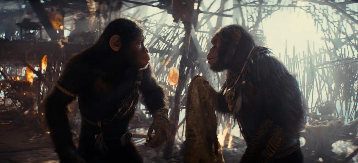 《猩球崛起4：新世界》曝光新剧照 人猿勇敢前行踏上未知旅程